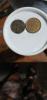 IMG-20251009-WA0157.jpg