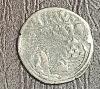 IMG_20261006_175417.jpg