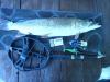 DSC00124.JPG