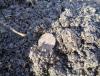 DSC01567.JPG
