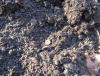 DSC01570.JPG