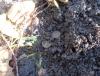 DSC01576.JPG