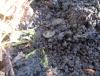 DSC01574.JPG
