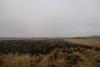 DSC08906.JPG