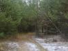 DSC08920.JPG