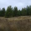 DSC08912.JPG
