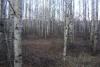 DSC08948.JPG