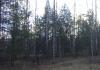 DSC08947.JPG