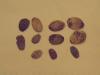DSC01052.JPG