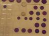 DSC01051.JPG