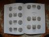 DSC00659.JPG