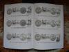 DSC01045.JPG