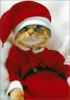 smeshnoy_ded_moroz.l.jpg
