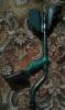 IMG-20171205-WA0002.jpg