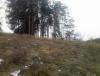 CAM03293.jpg