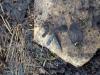 IMG-20171229-WA00131.jpeg
