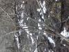 IMG-20171229-WA00021.jpeg