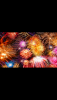 Screenshot_2019-12-11-12-46-38-856_com.miui.gallery.png