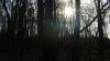 DSC08978.JPG