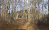DSC08990.JPG